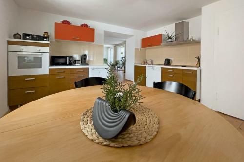 Apartamento Lieselhaus
