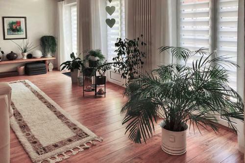 Apartamento Lieselhaus