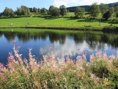 Holiday Home Goutteclaire Sauvain