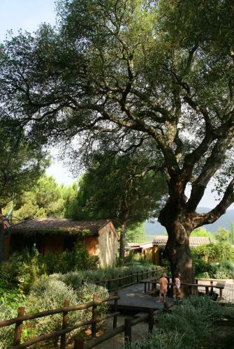 Aparthotel Camping Village Rocchette