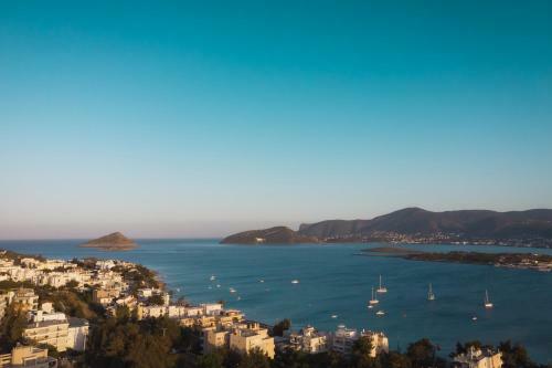 Onar Porto Rafti