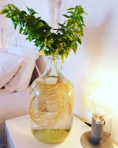 Apartamento Proti House