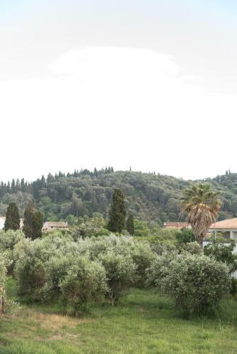 Apartamento Nicolas' Studios Melitsa