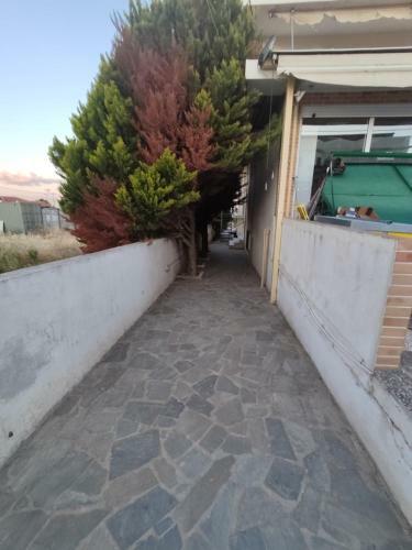 Aktis Apartment