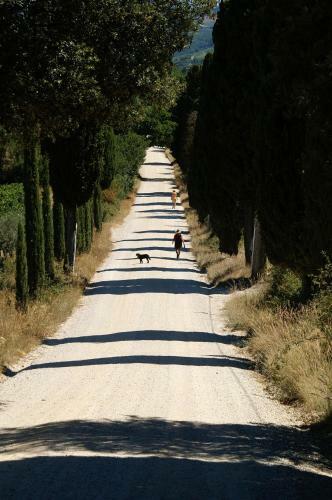 Romantic 2br 2ba Cottage In Castellina In Chianti
