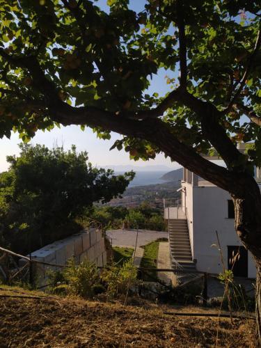 Casa Vacanze Il Vigneto: Tra Mare E Natura 2