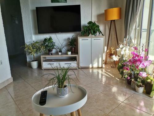 Apartamento Katica