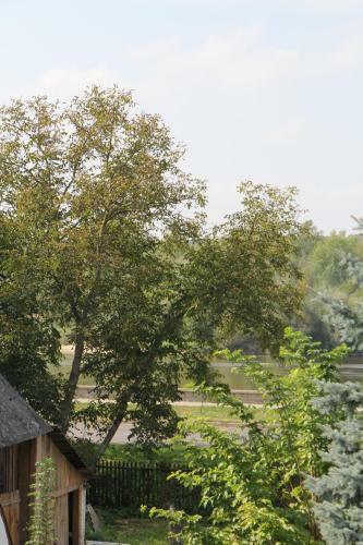 Apartament Rodzinny