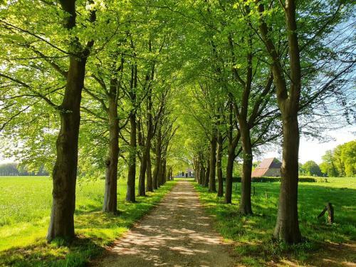 Woonboerderij Joostink In Vorden