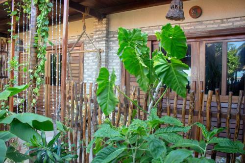 Hotel Coco-knots Hostel, B&b- Ilha Do Guajiru