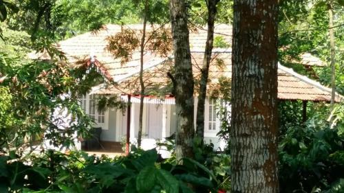 Vamoose Coorg Brookstone