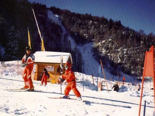 Holiday Home Les Chalets Des Ayes Le Thillot I