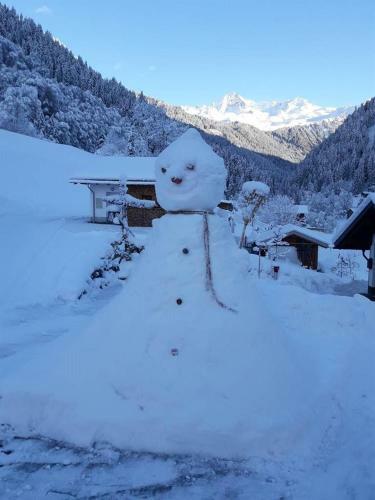 Apartamento G�stehaus Fitsch - Ferienwohnung In Silbertal