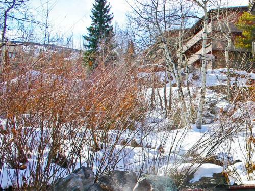 Apartamento Terracehouse By Snowmass Vacations