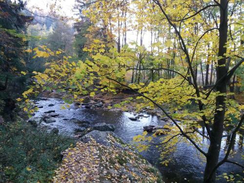 Apartm�n Karol�nka Jih