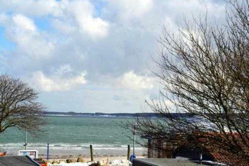 Ferienhaus "am Strand", Haus 1 - A69226