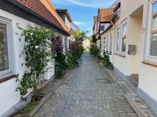 Das F�hs