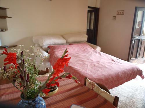 Agroturismo La Collina Degli Scoiattoli