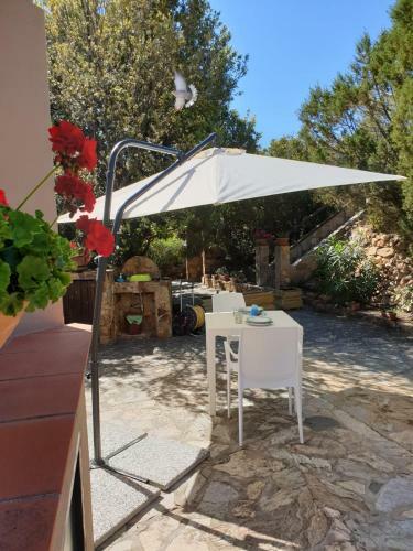 Apartamento Alice House - Chia - Garden