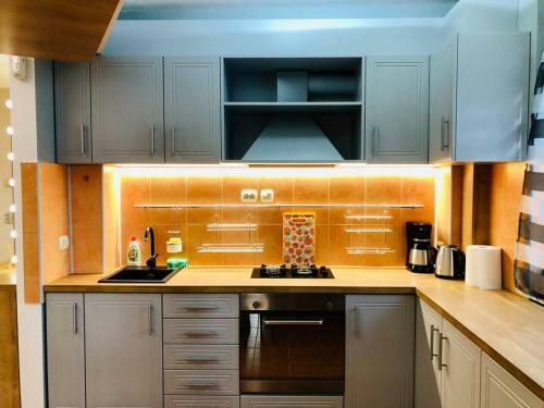 Ultra-central Apart -3 Rooms- Cathedral View Vic3