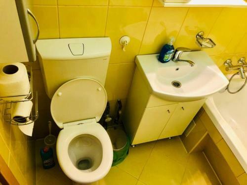 Ultra-central Apart -3 Rooms- Cathedral View Vic3