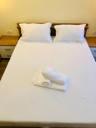 Ultra-central Apart -3 Rooms- Cathedral View Vic3