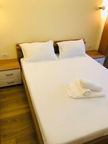 Ultra-central Apart -3 Rooms- Cathedral View Vic3