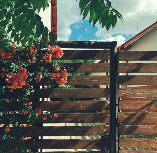 Hostal Casa Cu Smochin | House With The Fig