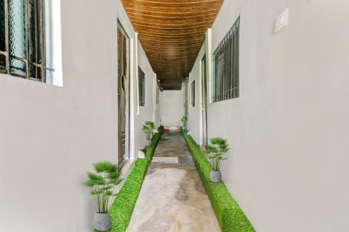 Hotel Oyo 90889 Green Guest House