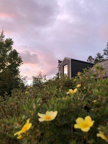 Stunning 1-bed Cabin In Isle Of Skye