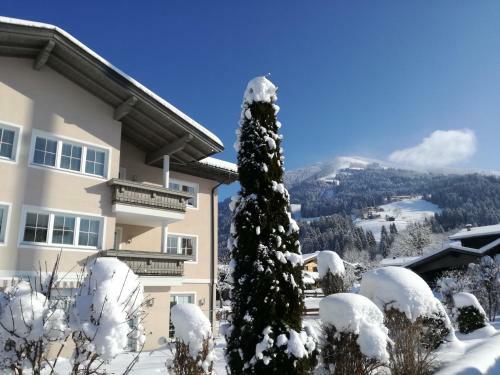 Apartamento Appartement Paratscher