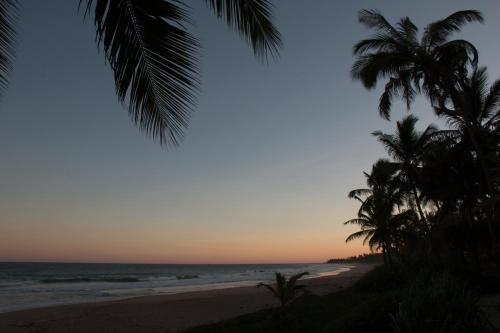 Hostal Bahia Surf Camp