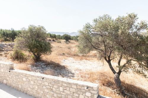 Aeonios Luxury Villa