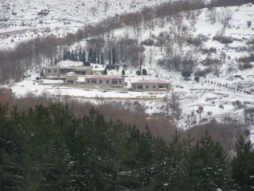 916 Mountain Resort