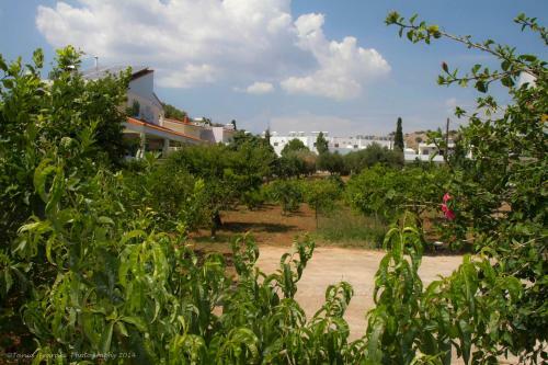 Villa Athena