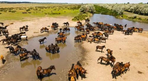 Casa Dor De Lac