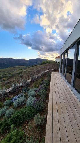 Villa Casa De Pena D'�guia - Douro Encantado