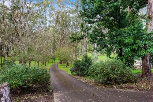 Tree House Toowoomba - Peace & Quiet In Tree Tops