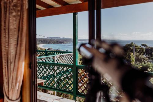 Panoramic Views Of Binalong Bay ~ Shack Life ~