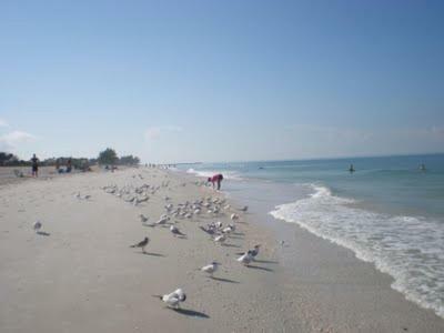 Apartamento New The Lighthouse- Pet Friendly