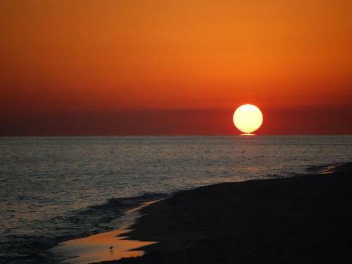 Apartamento The Pearl Of Navarre #805