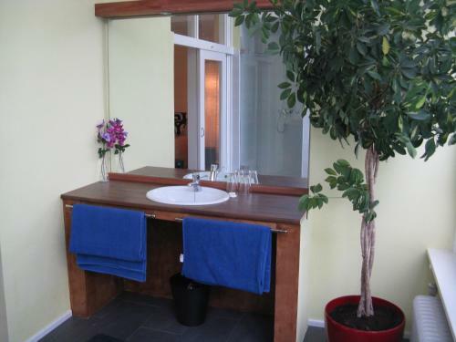 Bed & Breakfast Het Gele Huis