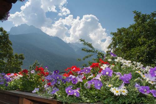 Apartamento Haus Wendelin