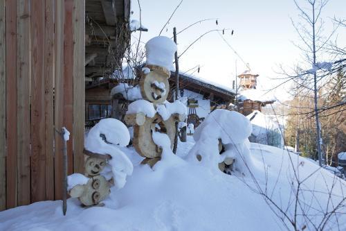 Chalet Alm Planai