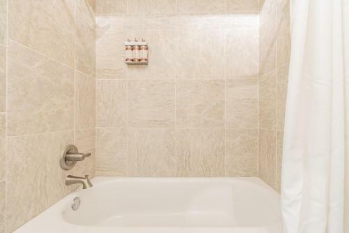 Zen Holistic Retreat By Carrollwood/westchase