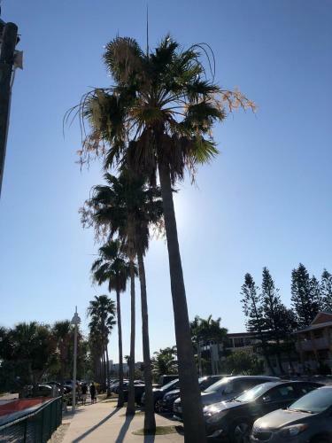 Apartamento Mazuma Suites Midtown Skyview Condo
