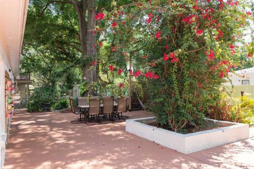 Great Location Tampa