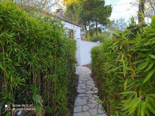 Apartamento Trescol