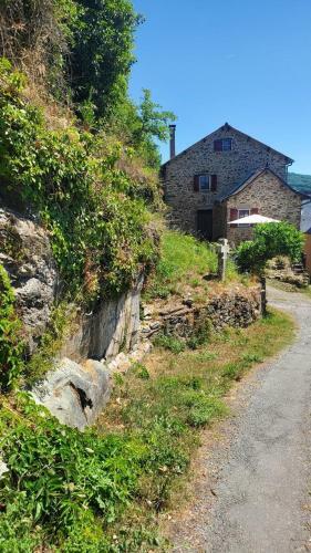 La Camisse
