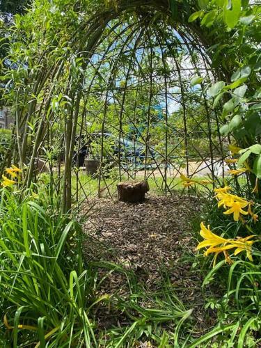 Large Boutique Eco Home - Central Frome - Park